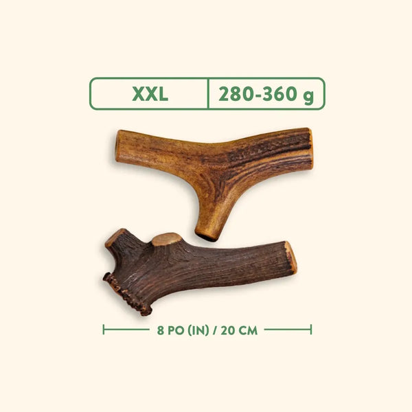 Bois de cervidés à mâcher pour chiens, entier - jambon fumé à l'érable