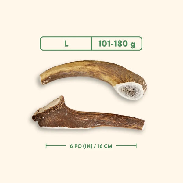Bois de cervidés à mâcher pour chiens, entier - nature sauvage