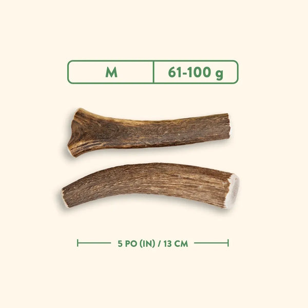Bois de cervidés à mâcher pour chiens, entier - nature sauvage