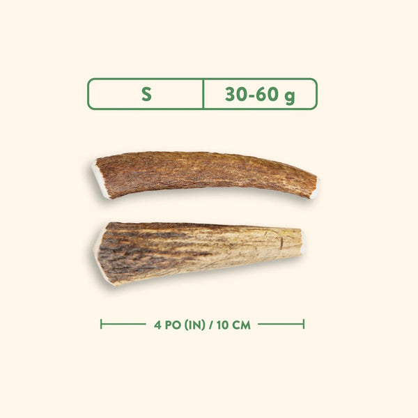 Bois de cervidés à mâcher pour chiens, entier - nature sauvage