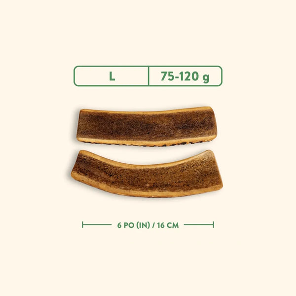 Bois de cervidés à mâcher pour chiens, coupé - jambon fumé à l'érable