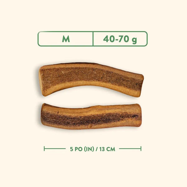 Bois de cervidés à mâcher pour chiens, coupé - jambon fumé à l'érable