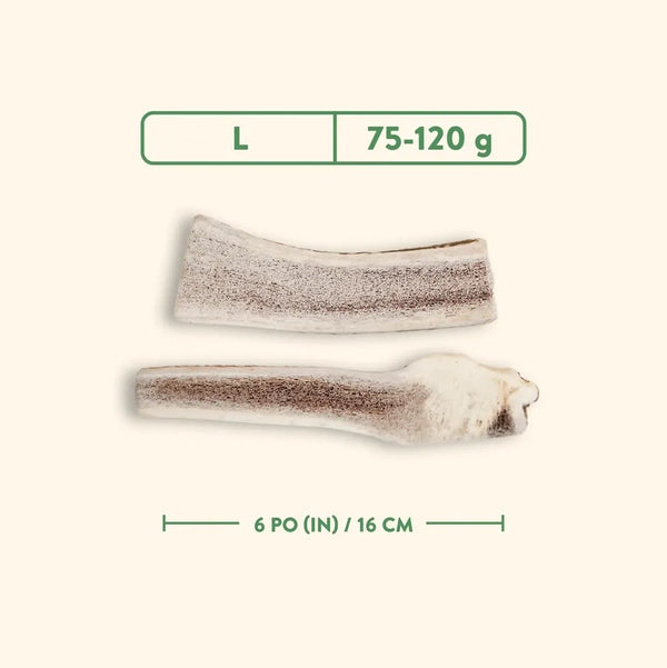 Bois de cervidés à mâcher pour chiens, coupé - nature sauvage