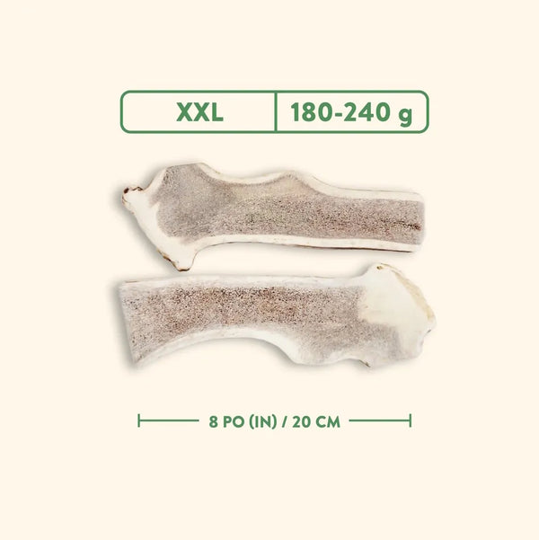 Bois de cervidés à mâcher pour chiens, coupé - nature sauvage