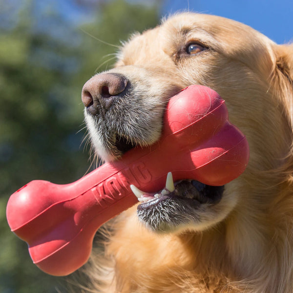 Jouet pour chien os en caoutchouc pour gâterie “Goodie”