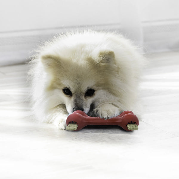 Jouet pour chien os en caoutchouc pour gâterie “Goodie”