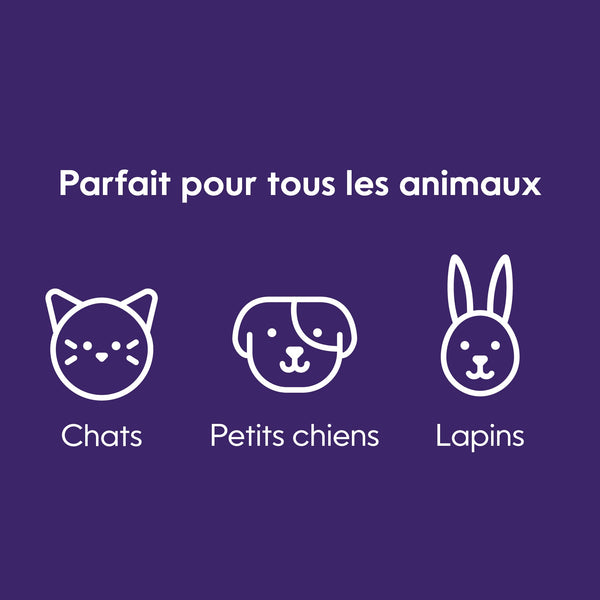 Poubelle à litière Litter Genie Design pour chat