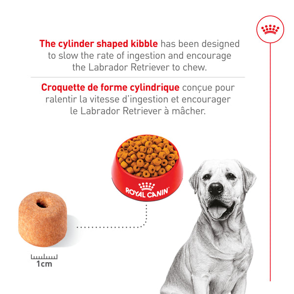 LABRADOR RETRIEVER ADULTE – nourriture sèche pour chiens