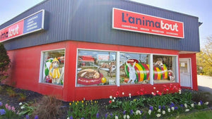 Animatout king ouest sherbrooke