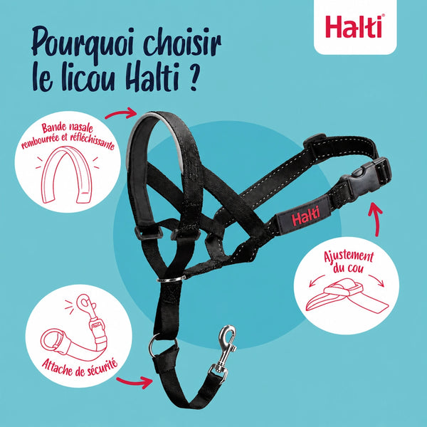 Licou Halti pour chien