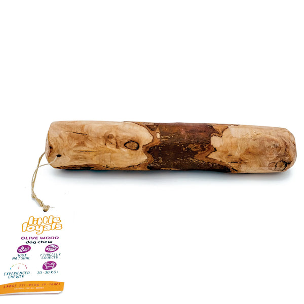 Bois d'olivier à gruger pour chien