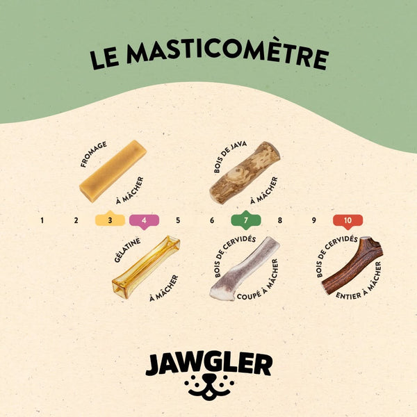 Gâterie pour chien - Gélatine à mâcher - bacon & érable paquet de 3 unités