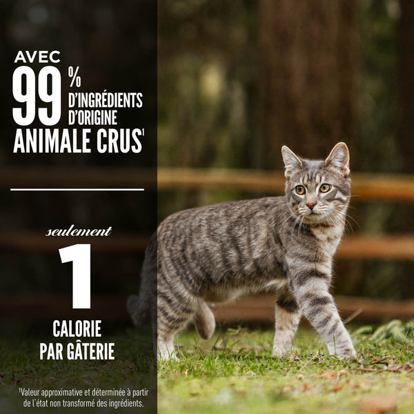 Gâteries lyophilisées pour chat Originale 35 g