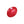 Couics de remplacement pour jouet KONG petit - paquet de 6