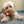 Jouet en peluche pour chien Ourson très petit