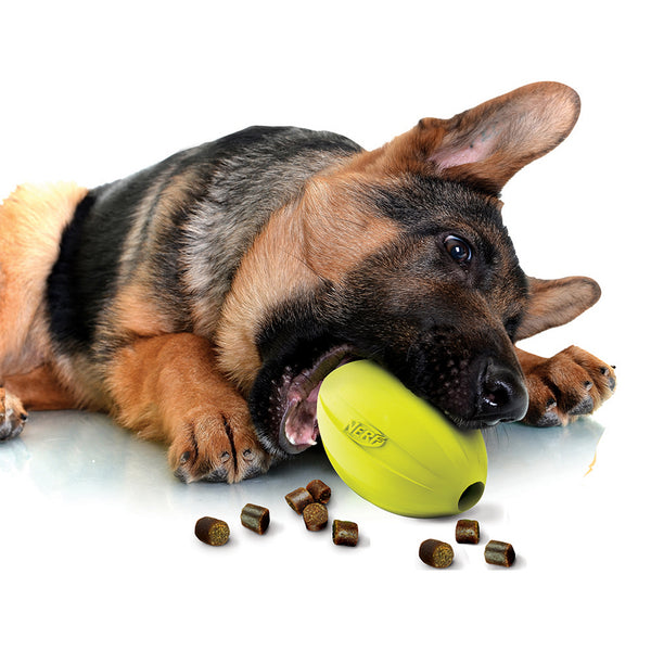 Ballon de football distributeur de régals Nerf Dog, vert, 12,7 cm (5 po)