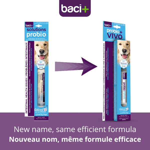 Probio+ vivo pour chien en pâte 15 g
