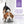 Garnitures Nutrience Style maison pour chiens, Poulet et quinoa, 152 g