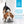 Garnitures Nutrience Style maison pour chiens, Poulet et riz, 152 g