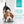 Garnitures Nutrience Style maison pour chiens, Terre et mer, 152 g