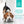 Garnitures Nutrience Style maison pour chiens, Terre et mer, 152 g