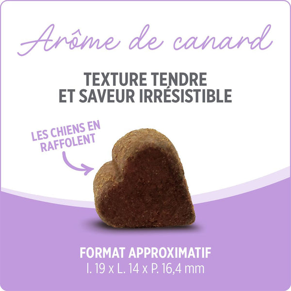 Suppléments Nutrience Care pour chiens, Hanches et articulations, 100 bouchées tendres, 400 g