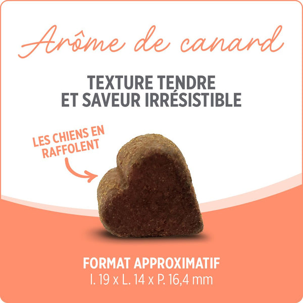 Suppléments Nutrience Care pour chiens, Probiotique+, 100 bouchées tendres, 400 g
