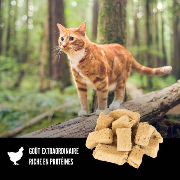 Gâteries lyophilisées pour chat Originale 35 g