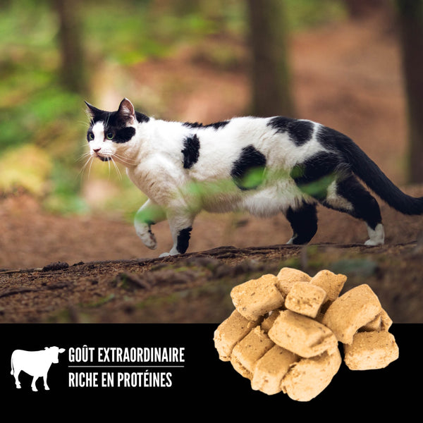 Gâteries lyophilisées pour chat Regional Red 35 g
