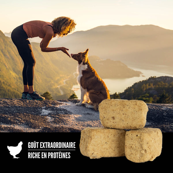 Gâteries lyophilisées pour chien Originale 92 g