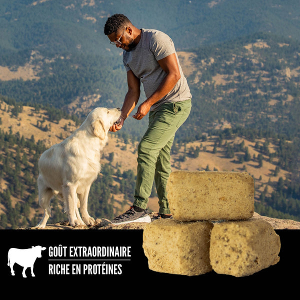 Gâteries lyophilisées pour chien Regional Red 92 g