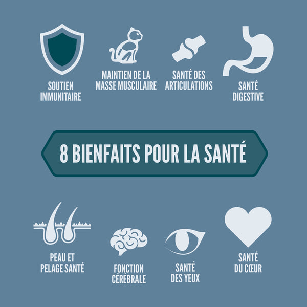 Nourriture pour chat Guardian 8