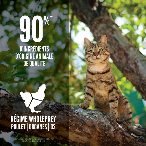 Nourriture pour chat Guardian 8