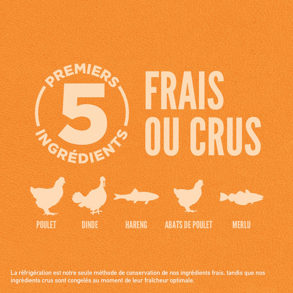 Nourriture pour chat Originale
