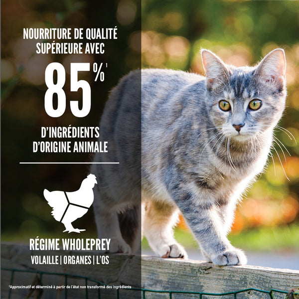 Nourriture pour chat Originale