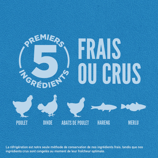 Nourriture pour chien Originale