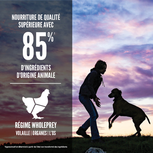 Nourriture pour chiot de grande race