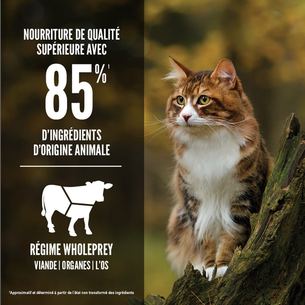 Nourriture pour chat Regional Red
