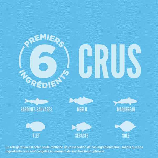 Nourriture pour chat Six Fish