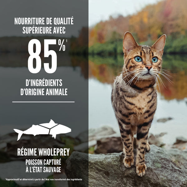 Nourriture pour chat Six Fish