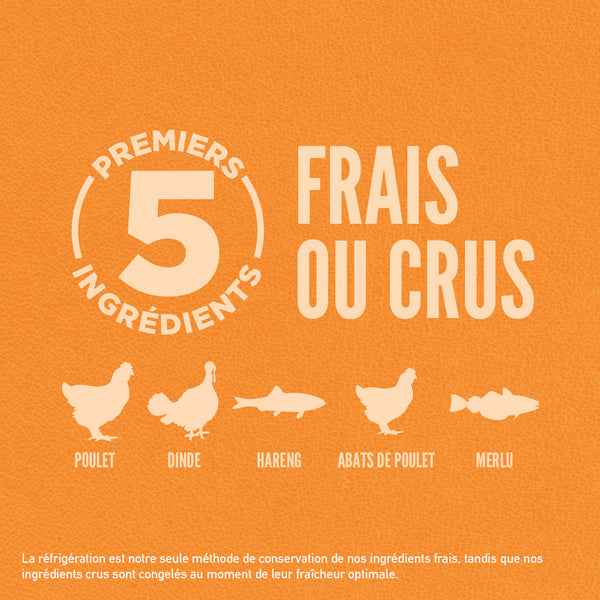 Nourriture pour chat Originale