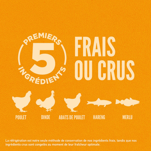 Nourriture pour chiot