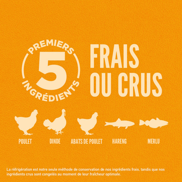 Nourriture pour chiot