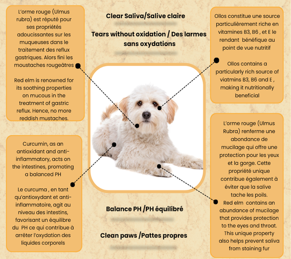 Ollos, solution naturelle pour les yeux tachés des chiens canneberge et bleuet 30 g
