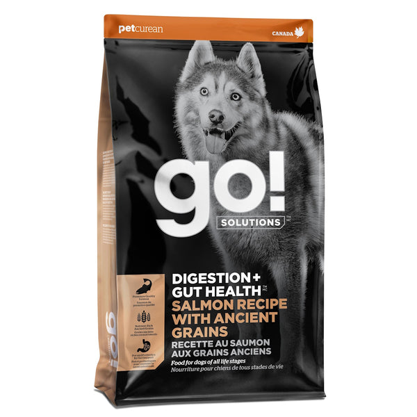 Nourriture sèche pour chien digestion + santé intestinale aux grains anciens au saumon