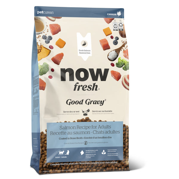 Nourriture sèche pour chat adulte Good Gravy sans grains saumon
