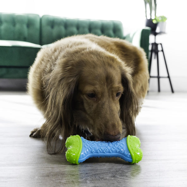 Jouet pour chien « Core Strength » os petit/moyen