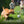 Poubelle à déchets pour chien