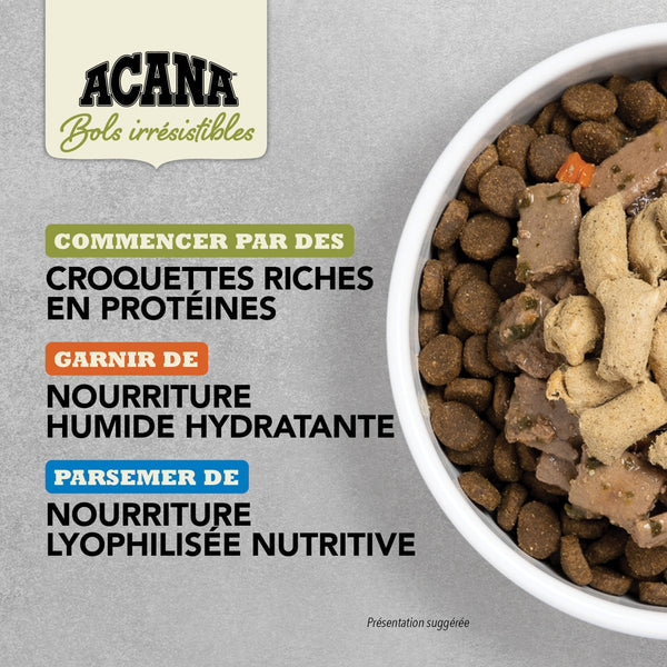 Nourriture pour chien morceaux de porc avec bouillon d'os 363 g