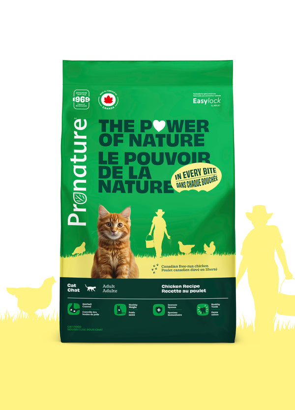 Nourriture pour chat adulte formule Original - poulet - Animatout